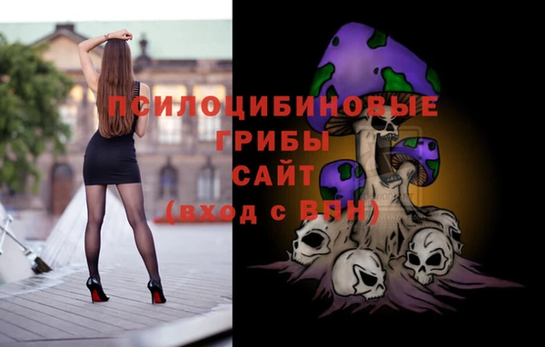 винт Алзамай