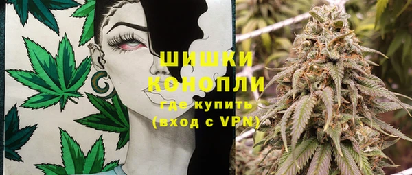 винт Алзамай