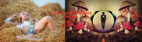 таблы Алексин
