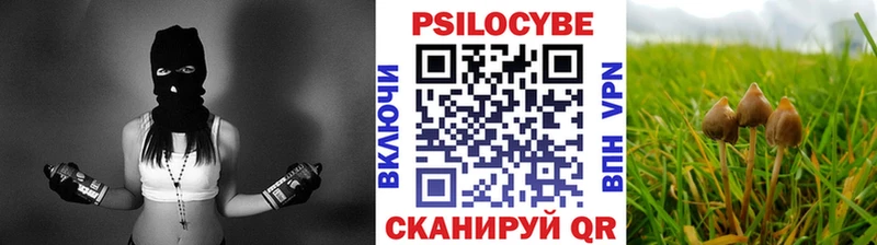 Псилоцибиновые грибы мухоморы  мориарти Telegram  Данилов 