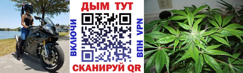 что такое наркотик  Данилов  Марихуана сатива 